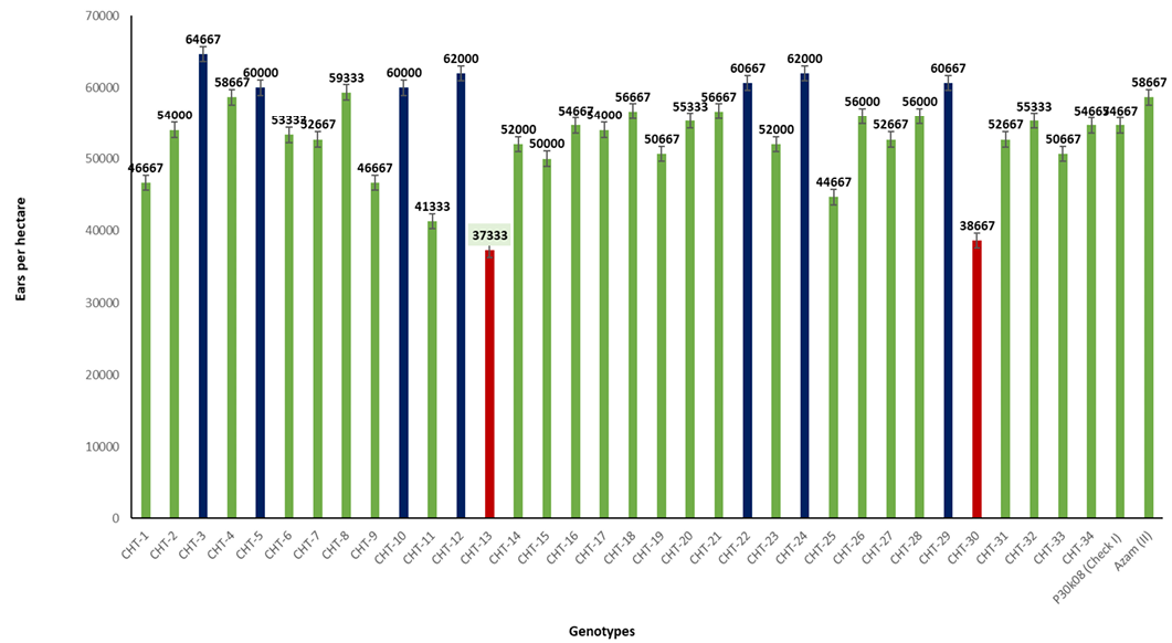 Figure 5:
