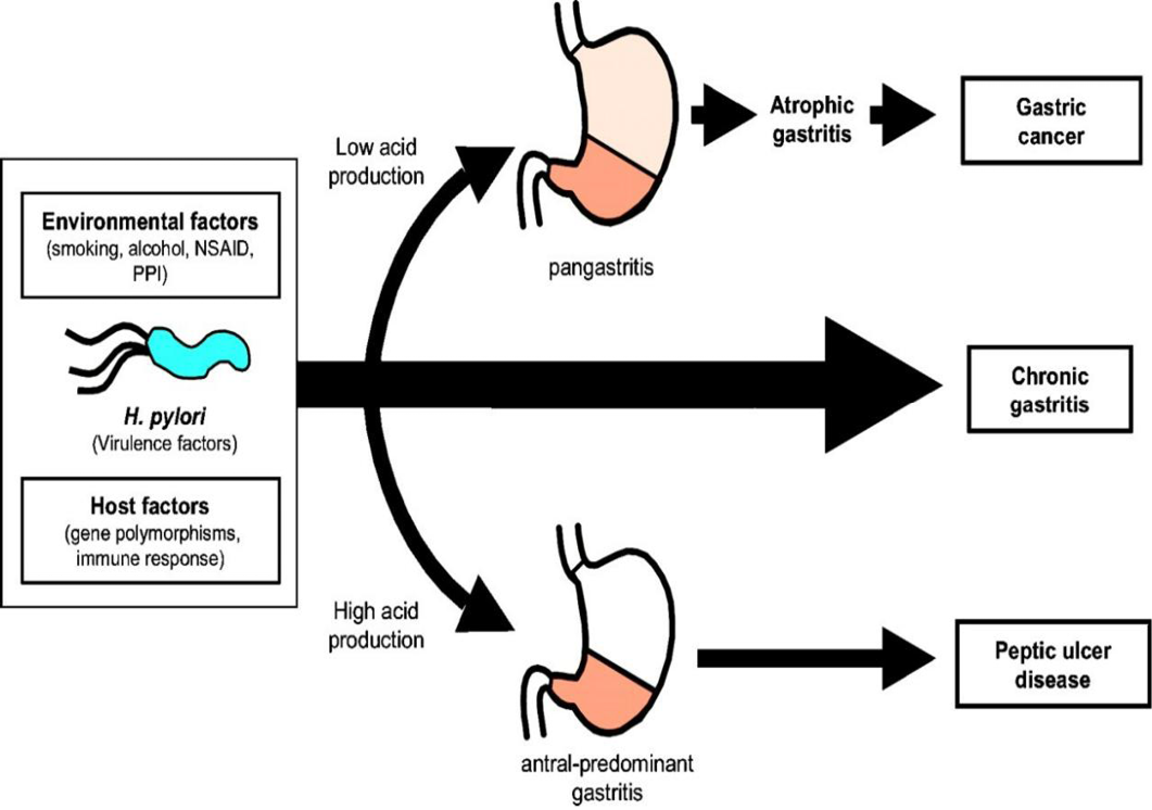 Figure 5: