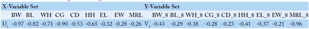 Table 6: