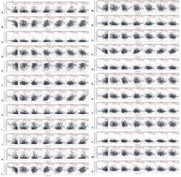 Fig. 10.