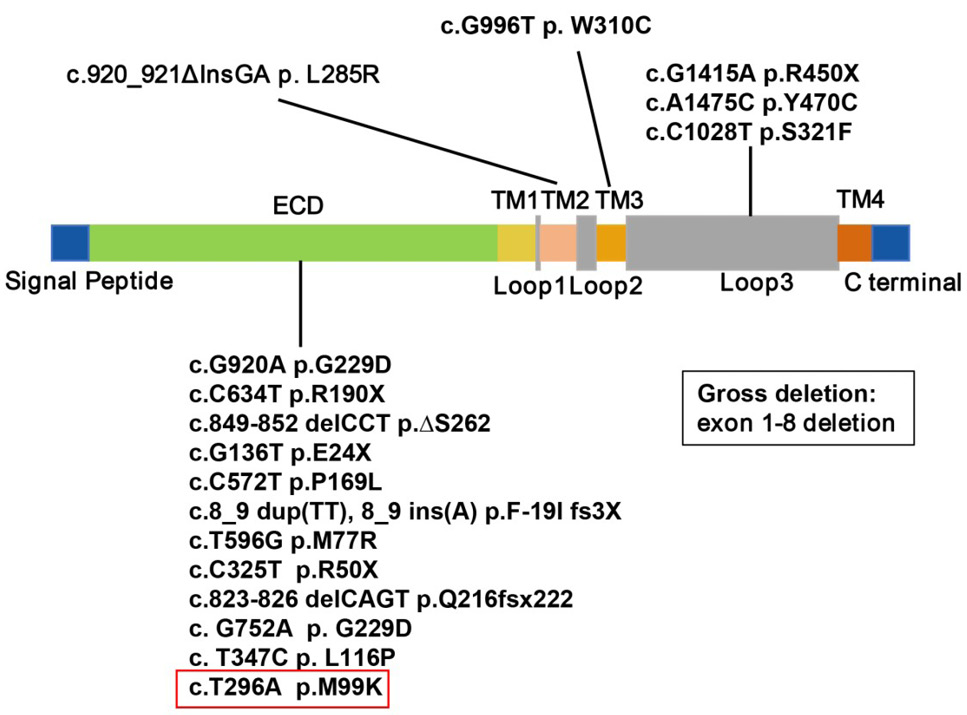 Fig. 4.
