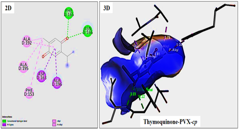 Figure 10: