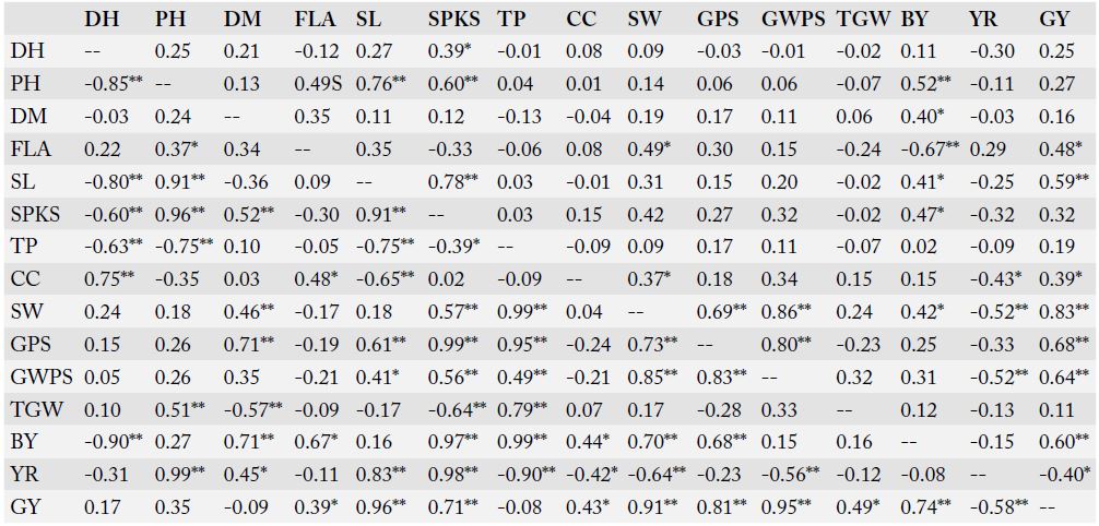 Table 4: