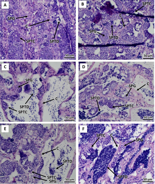 Figure 3:
