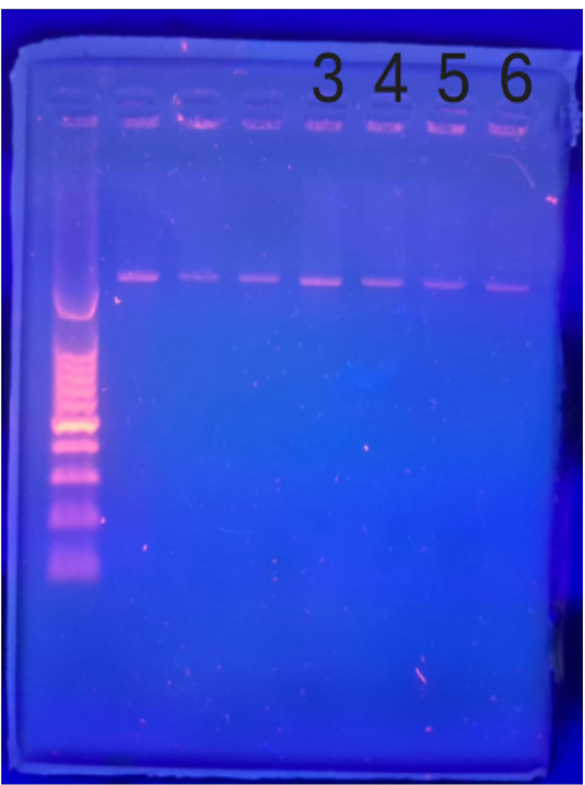 Figure 3: