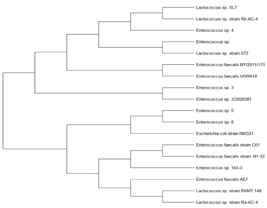 Figure 4: