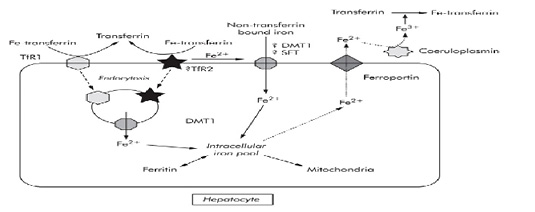 Figure 2: