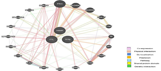Figure 3: