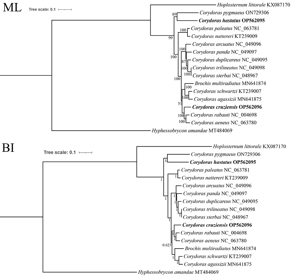 Fig. 6.