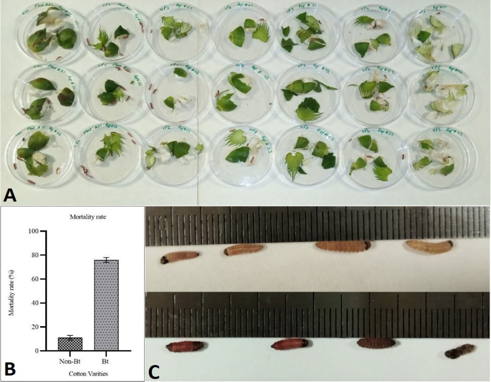 Fig. 4.