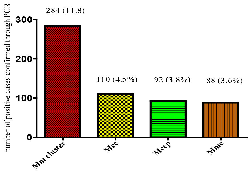 Fig. 5.