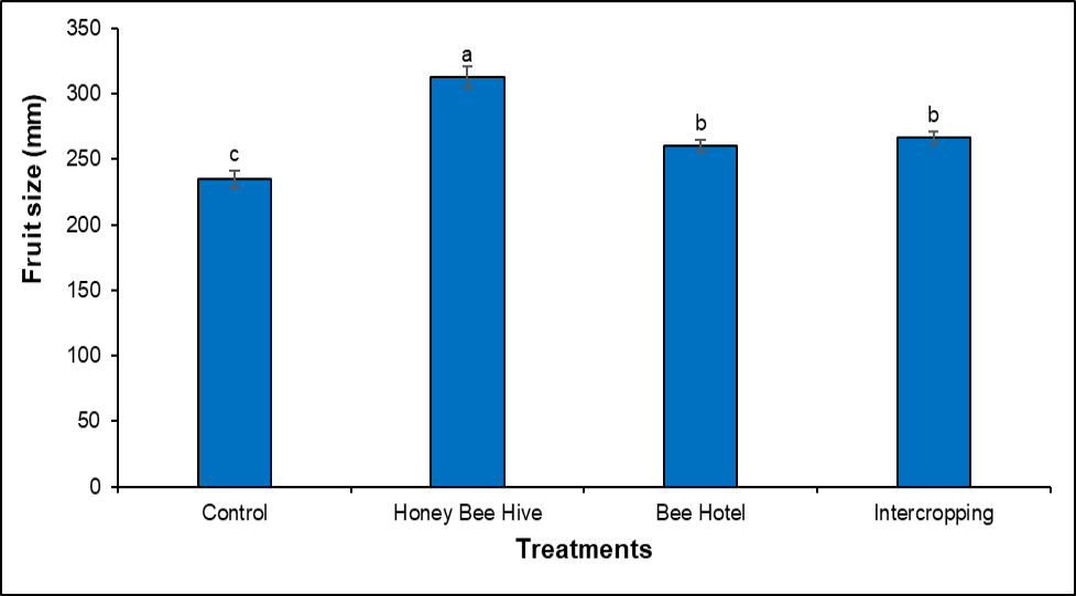 Figure 4: