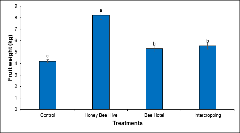 Figure 3: