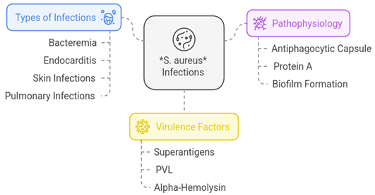 Figure 7: