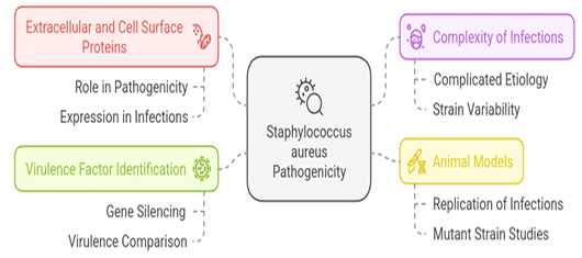 Figure 6: