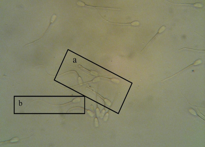 Figure 3: