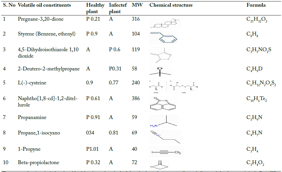 Table 2: