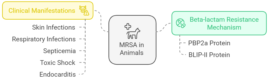 Figure 5: