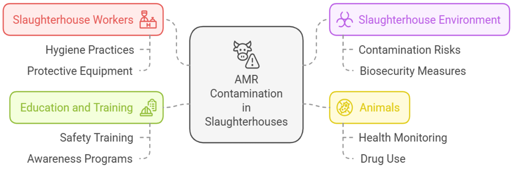 Figure 6: