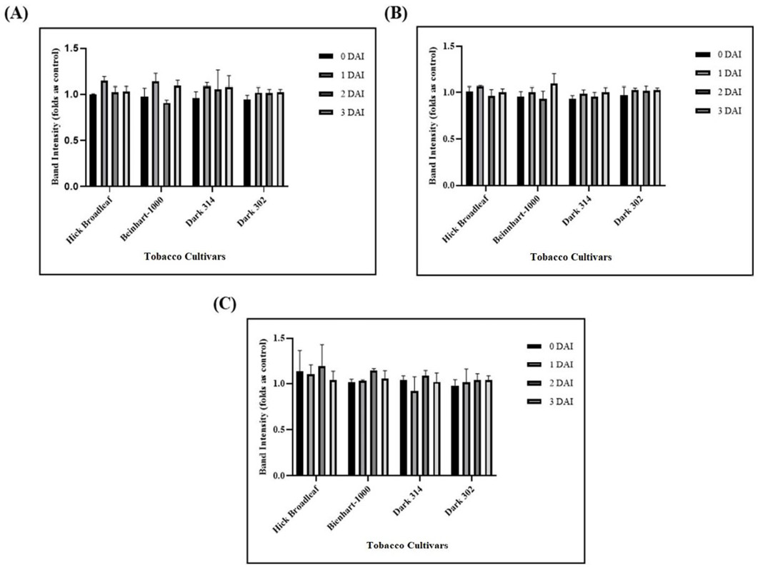 Figure 5: