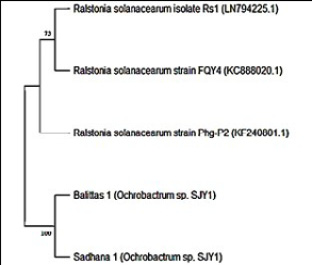 Figure 2: