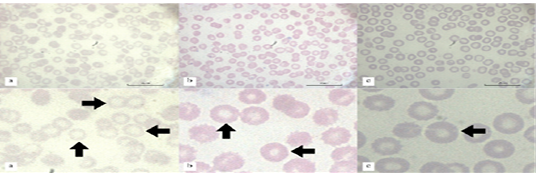 Figure 2: