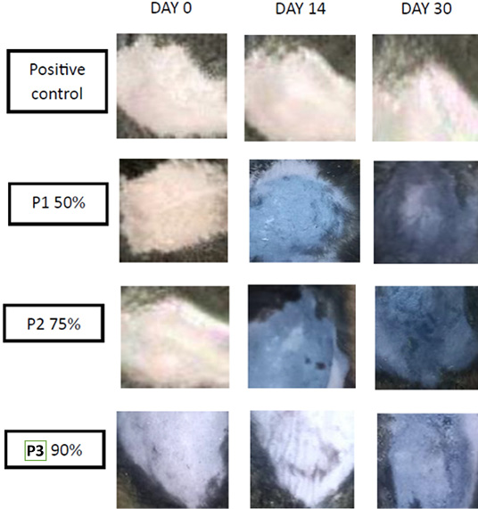 Figure 1: