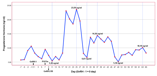 Figure 4: