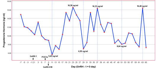 Figure 3: