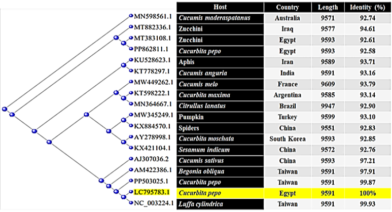 Figure 5: