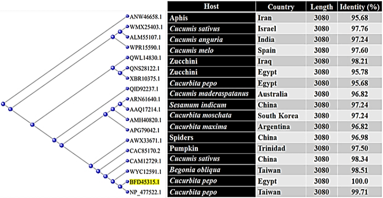 Figure 6: