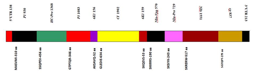 Figure 4: