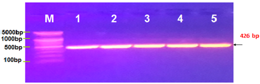 Figure 2: