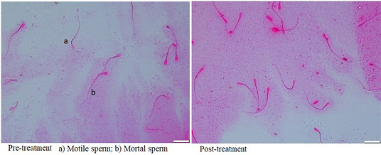 Figure 3: