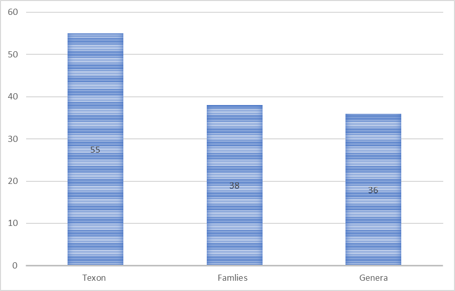 Figure 4: