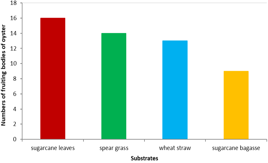 Figure 5: