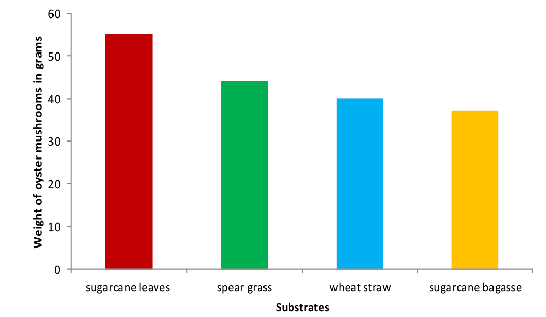Figure 9: