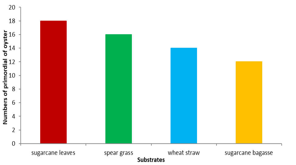 Figure 6: