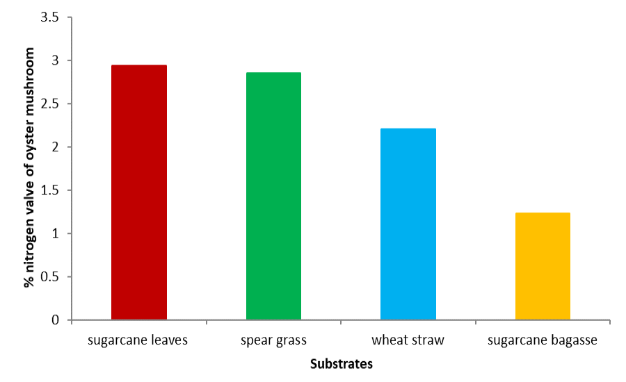 Figure 10: