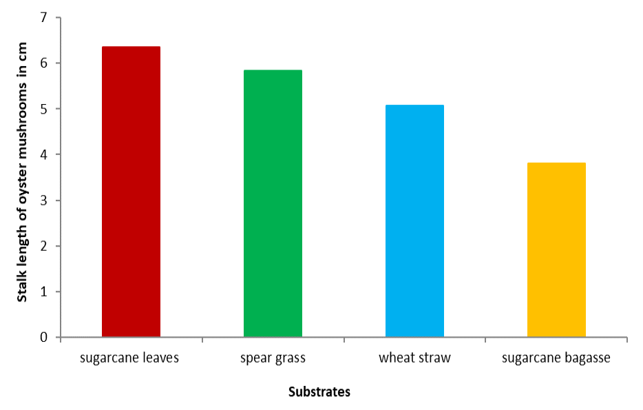Figure 7: