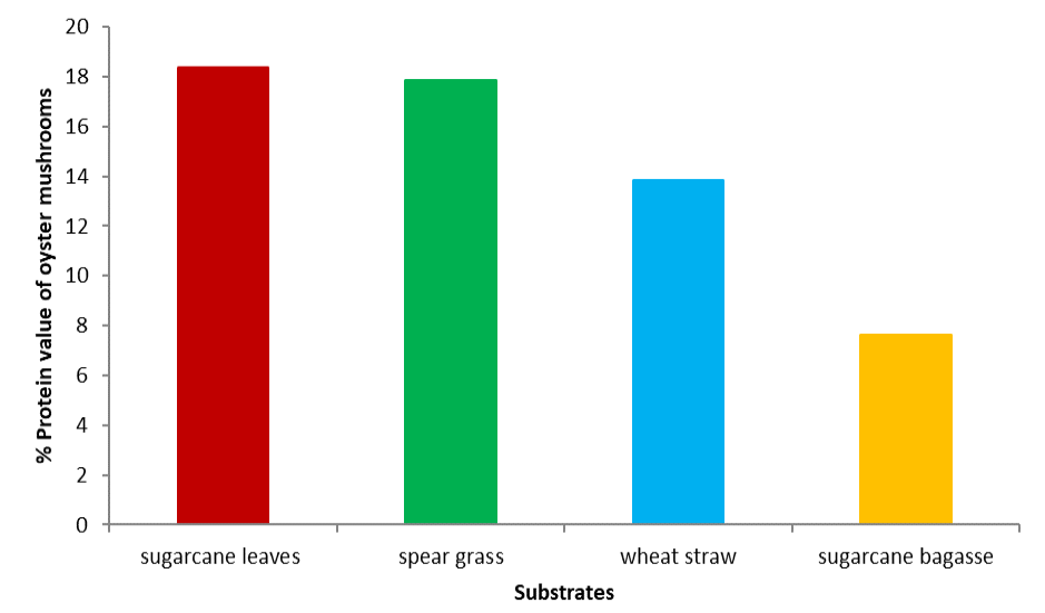 Figure 11: