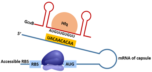 Figure 12: