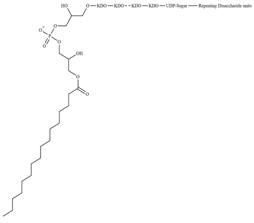 Figure 10: