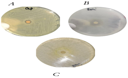 Figure 1: