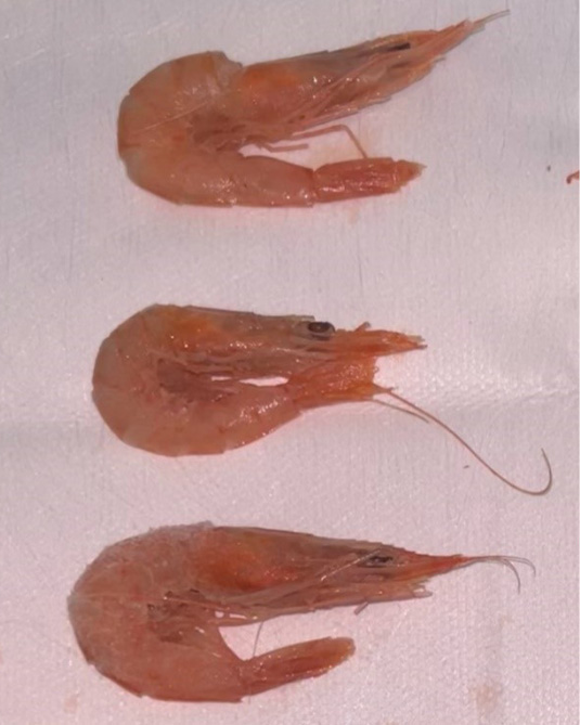 Figure 7: