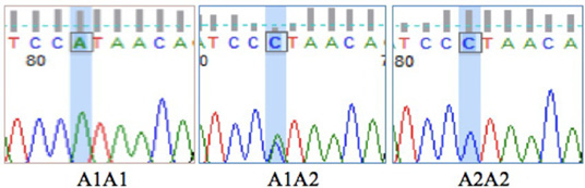 Figure 2: