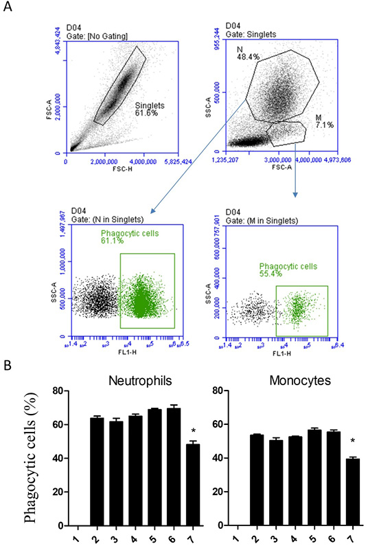 Figure 5: