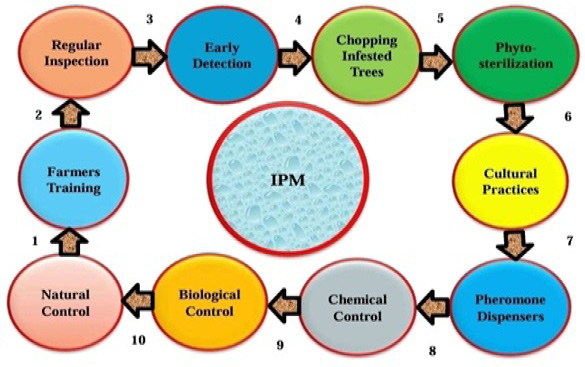 Figure 5: