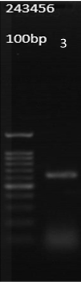 Figure 1: