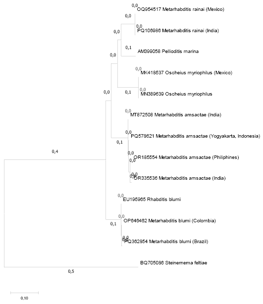 Figure 2:
